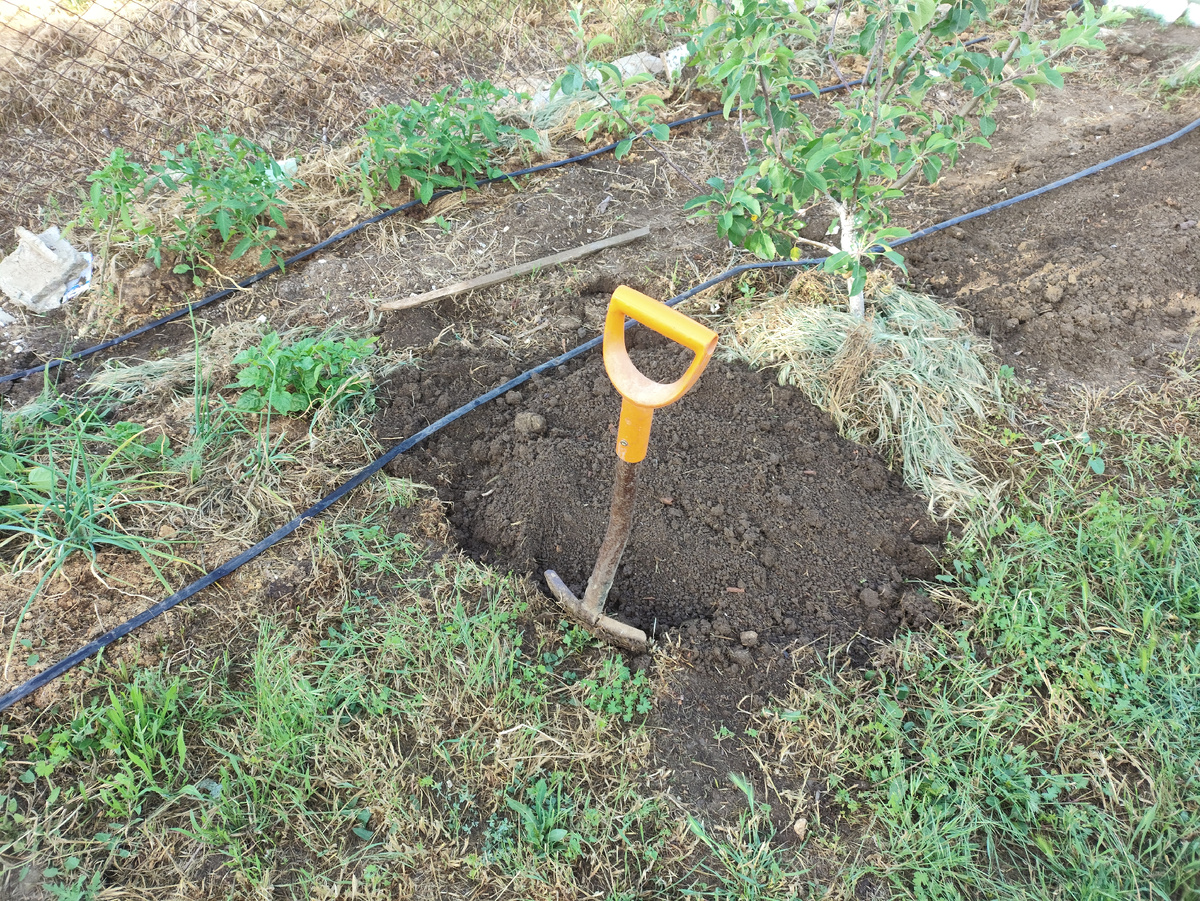 Это всего вчера смогла осилить