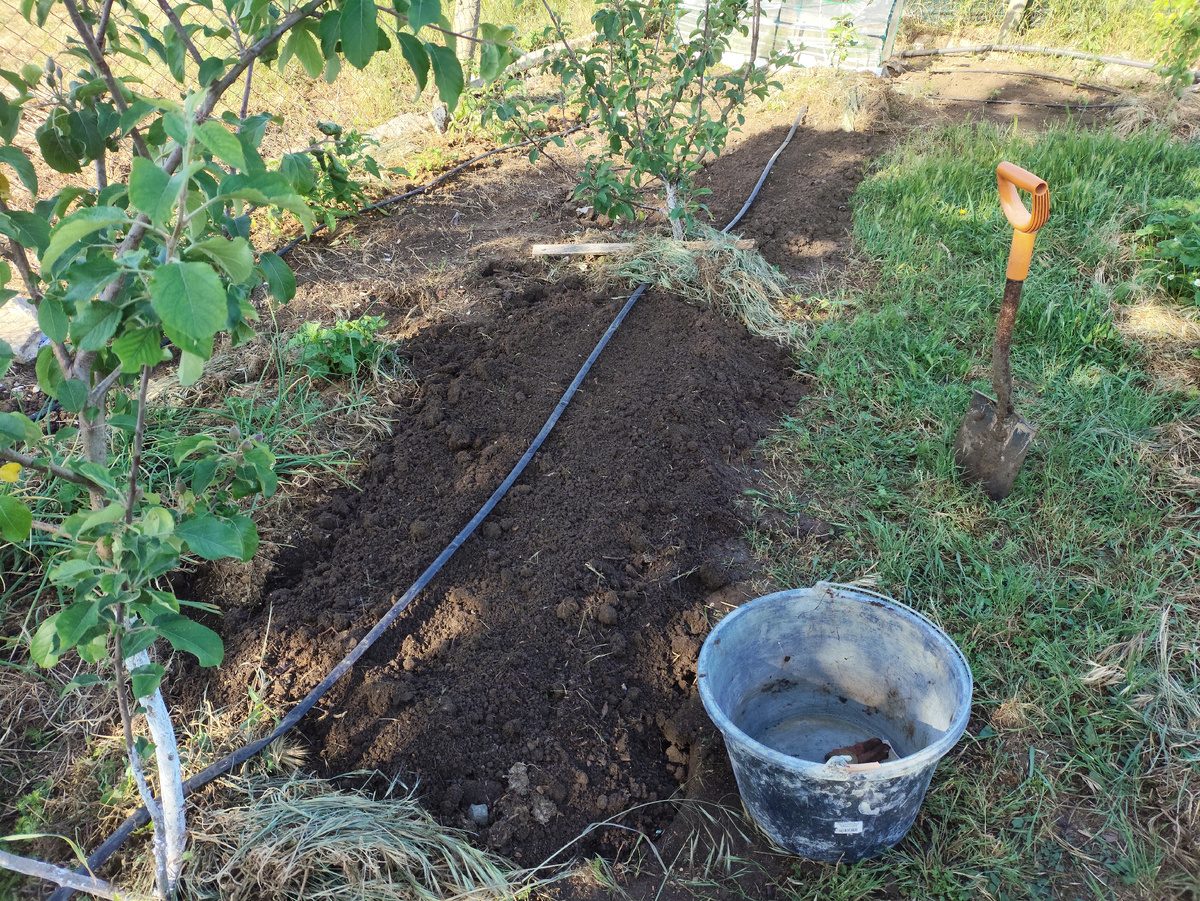Сегодня грядку закончила. И тоже щедро заправила козьей и куриной подстилкой.
