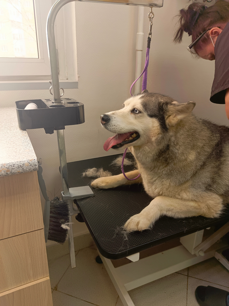 Устала сидеть