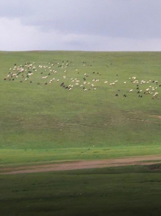 Это дороги в Монголии