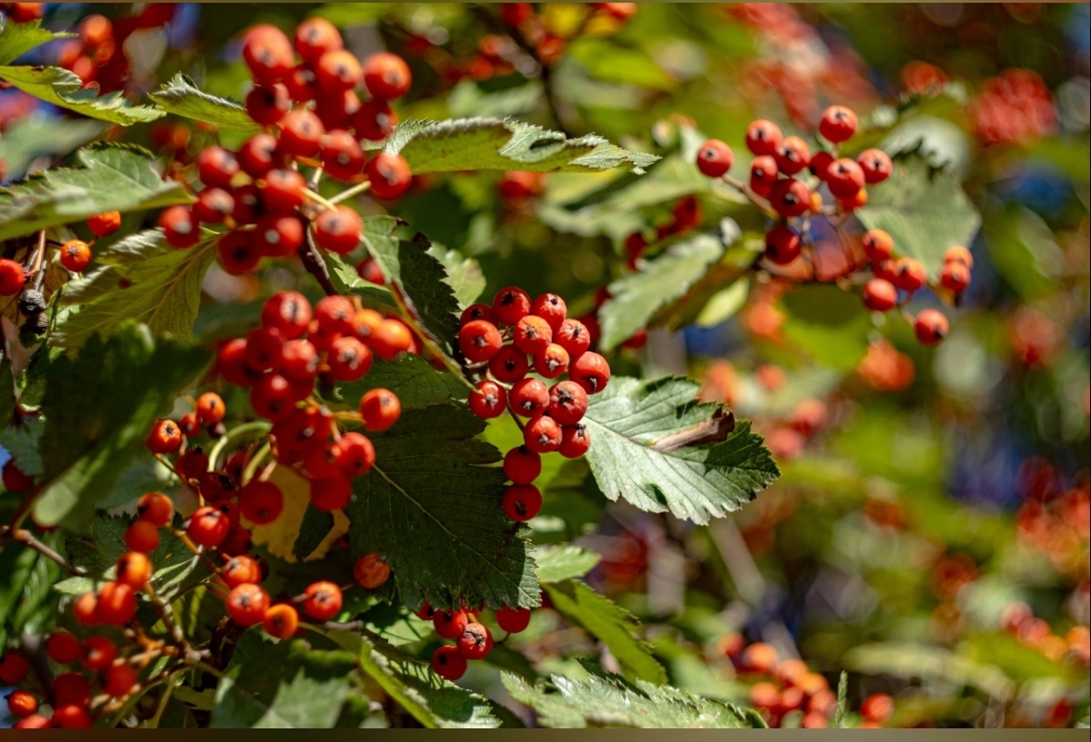 Фото с простор интернета 