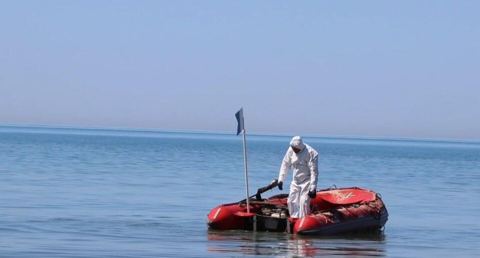    скриншот видео / оперштаб Краснодарского края