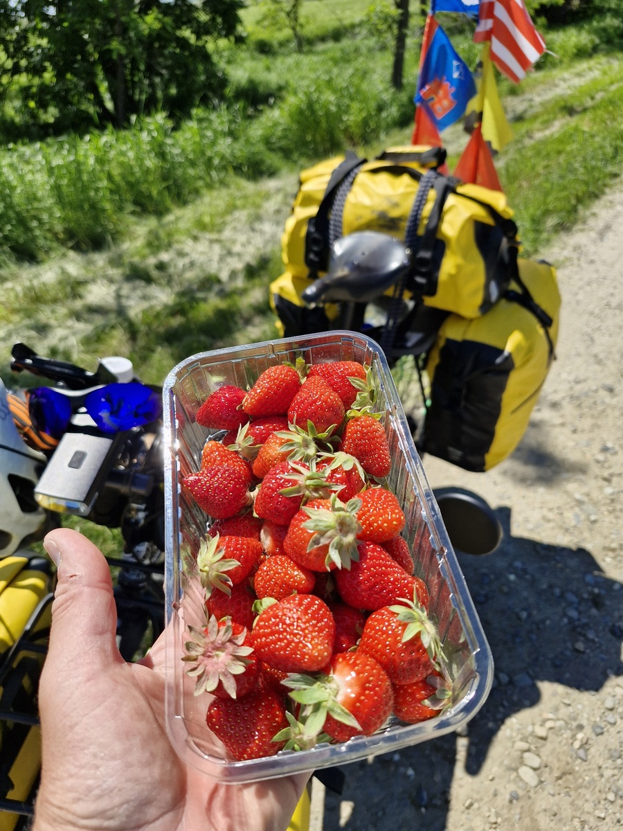 Вкусное угощение