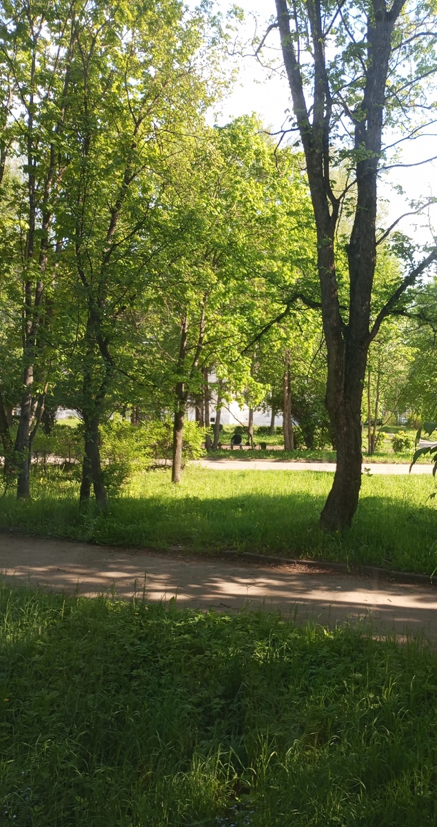 Фото автора. 