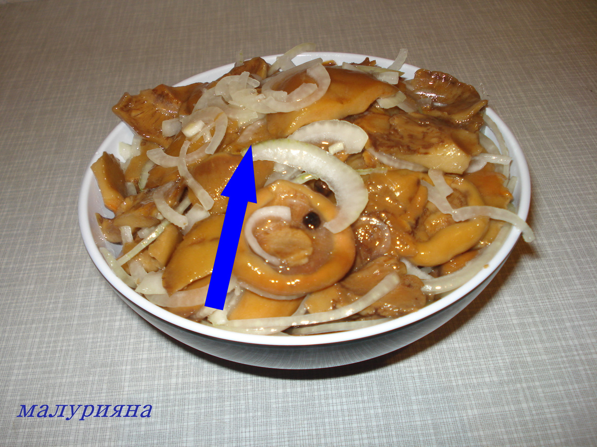    Секрет псковских хозяек как солить лисички без горечи