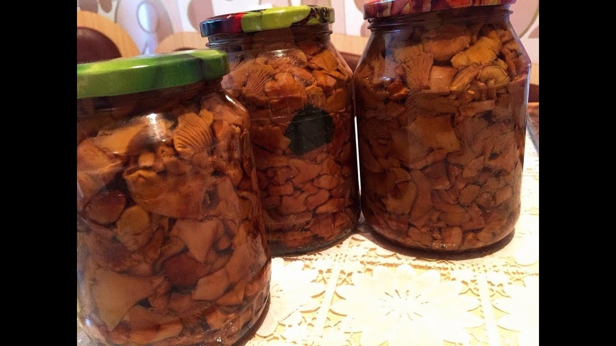    Секрет псковских хозяек как солить лисички без горечи