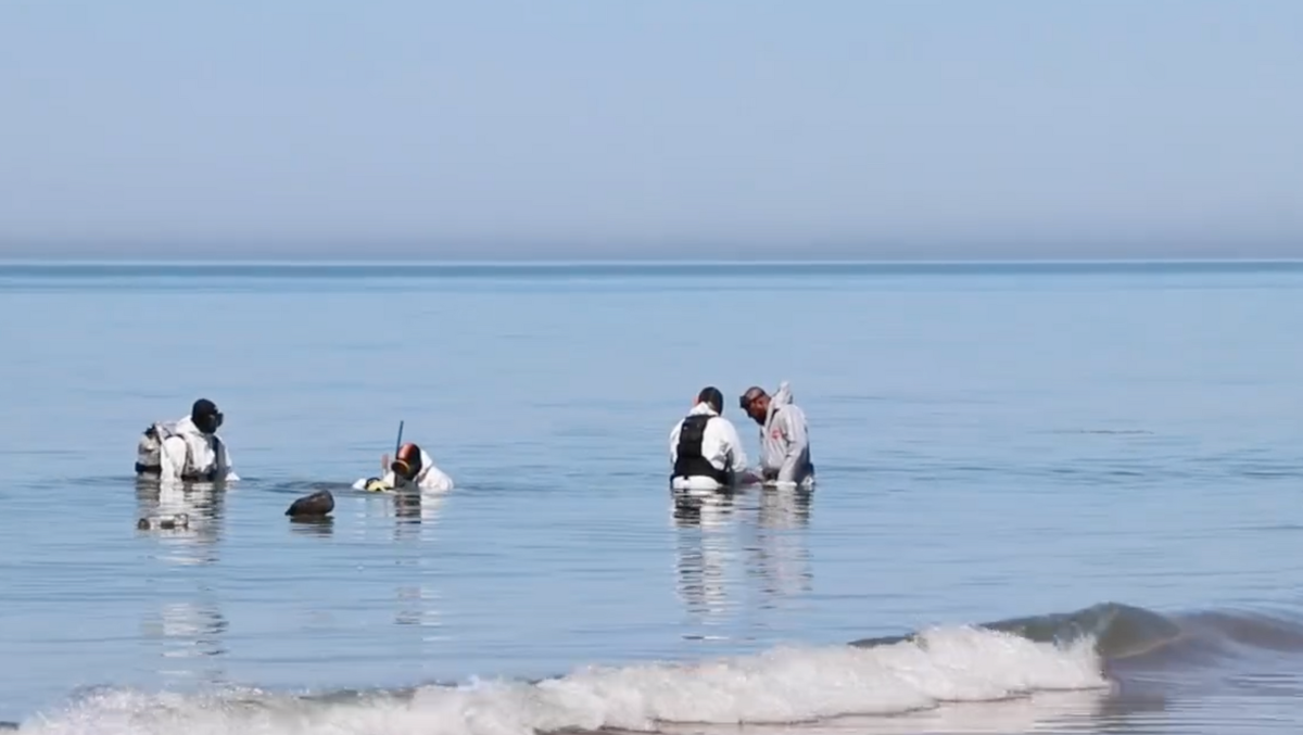     / Источник: ©пресс-служба оперативного штаба Краснодарского края