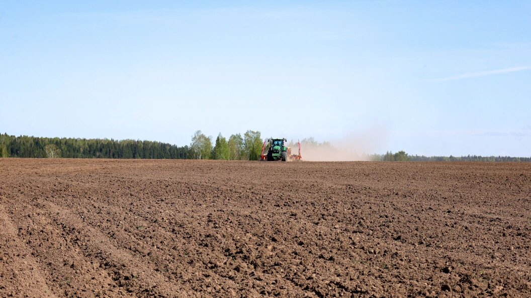    Фото: Elena Mayorova/Globallookpress