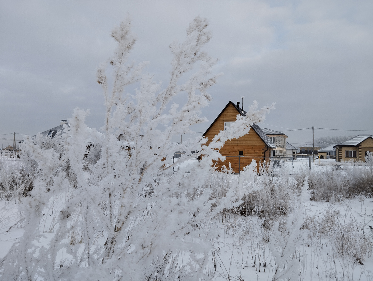 Первый день нового 2025 года...