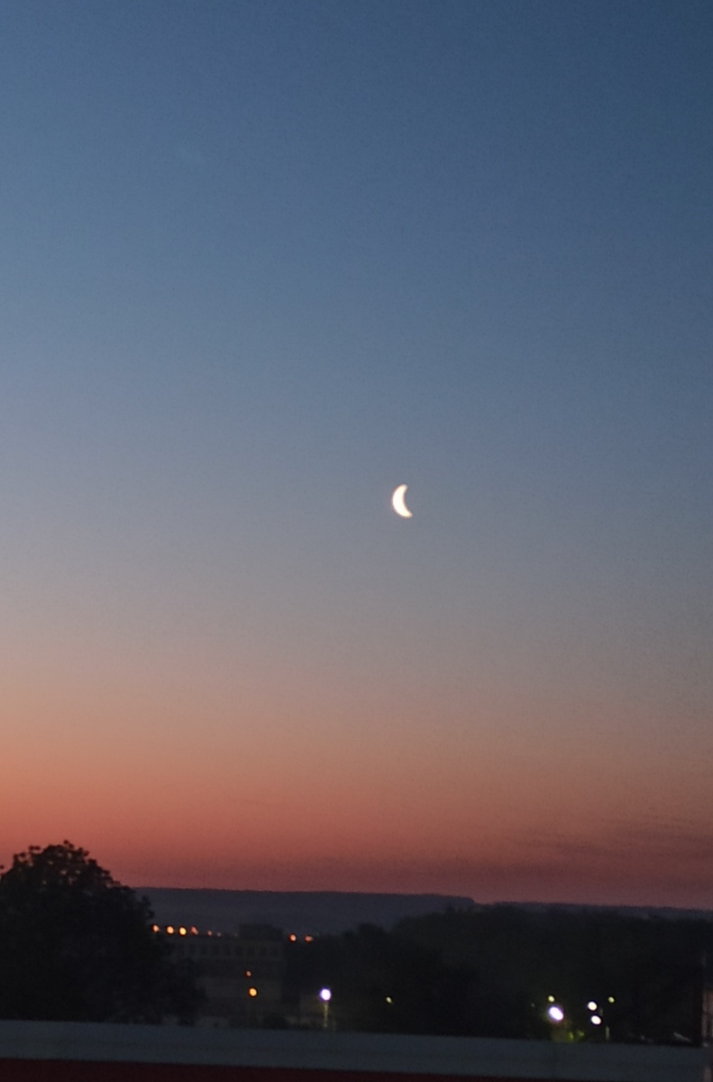 Все фото в статье авторские. 