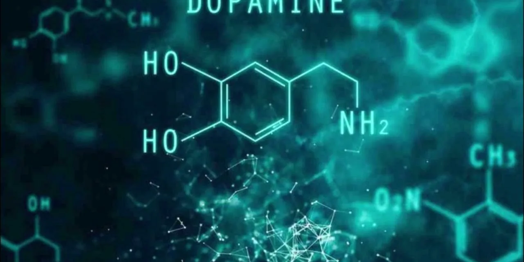 Дофамин-гормон счастья: патофизиолог рассказала - как повысить его уровень: это очень просто