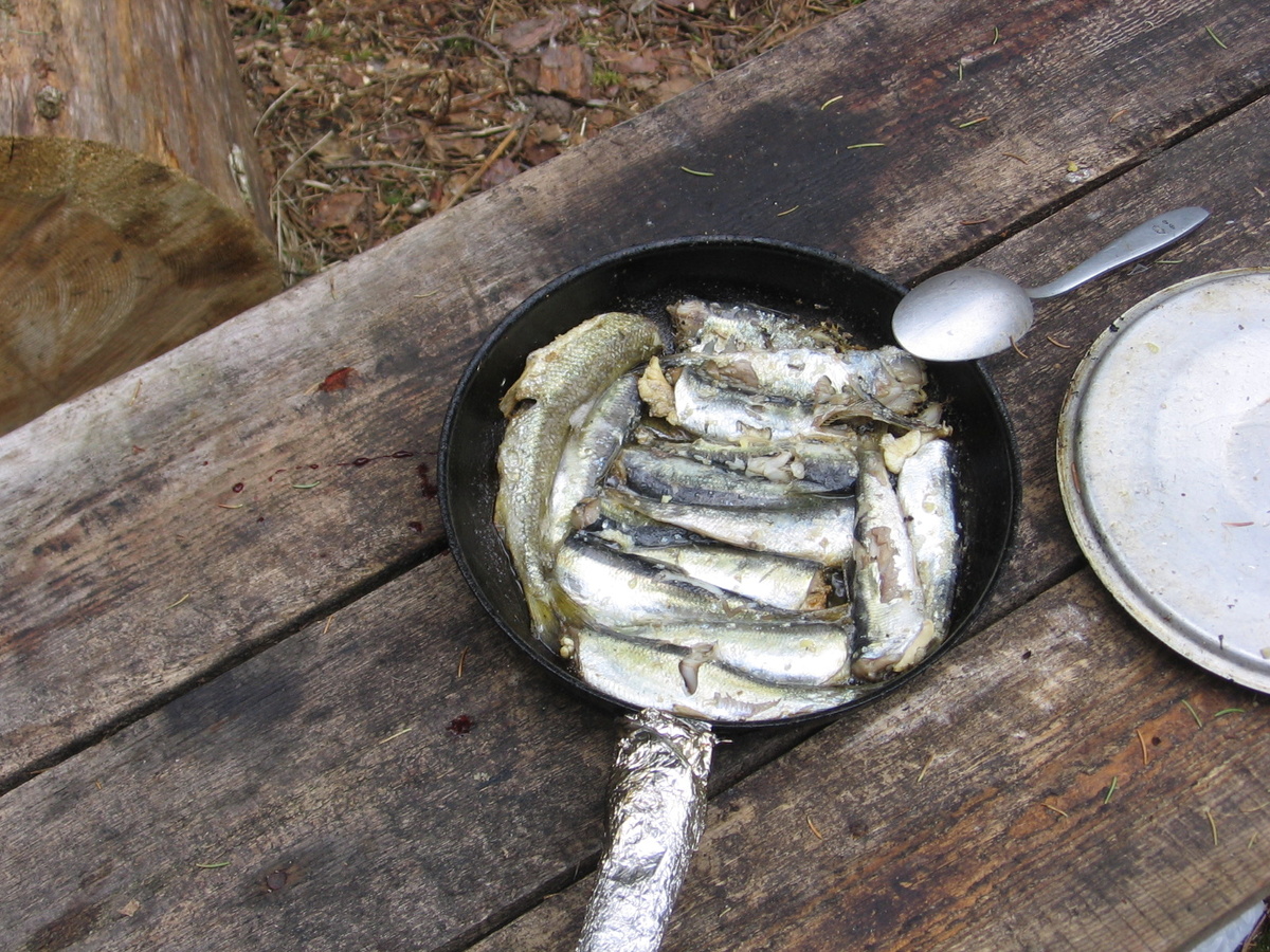 Примерно так блюдо выглядит. Иногда сверху чуть лука или перца чили для разнообразия насыпать можно.