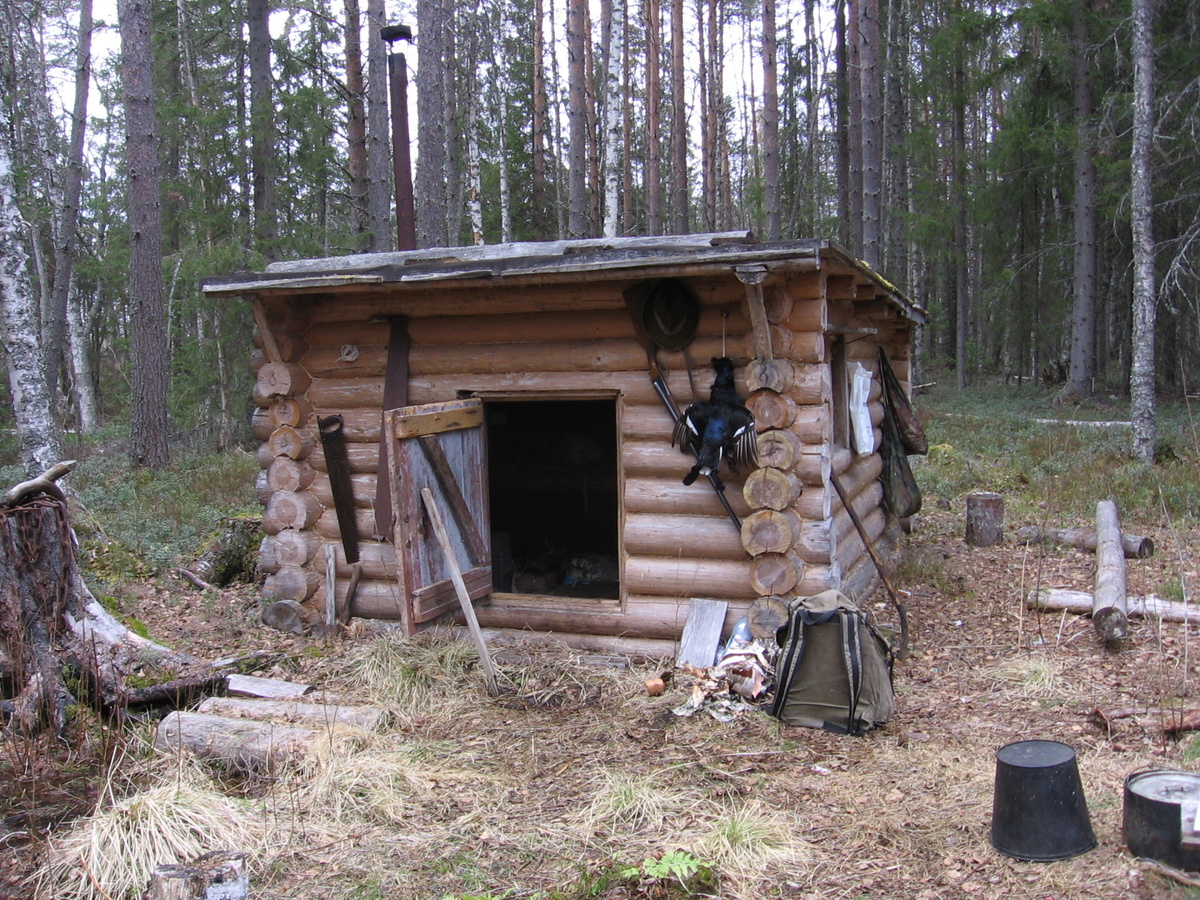 "Жилище". Почему построил - отдельная смешная история. Но, постарался на совесть. За почти 20 лет не прикасался, только крышу раз перекрыл - и все.