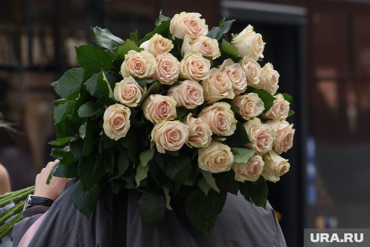    Красивые розы можно не только купить, но и вырастить на дачном участке