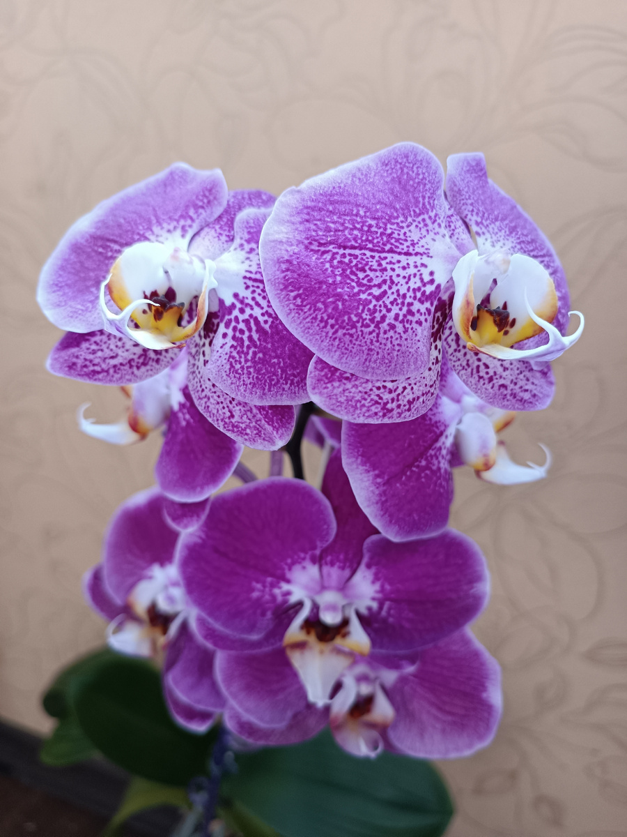 Обложка статьи. Архивное фото 