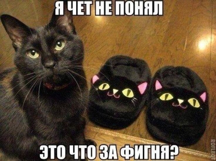 источник Яндекс-картинки