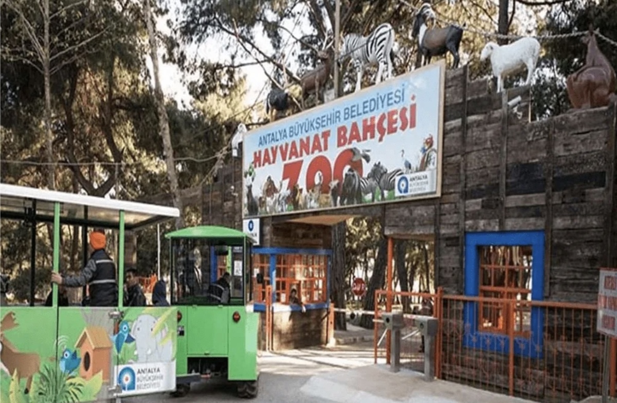 Изображение с просторов интернета 