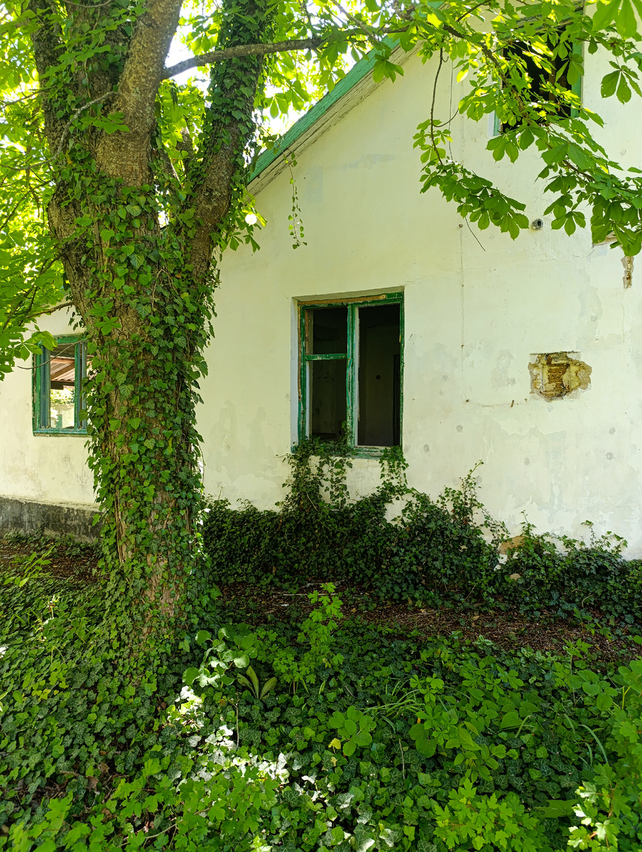 Территория полигона