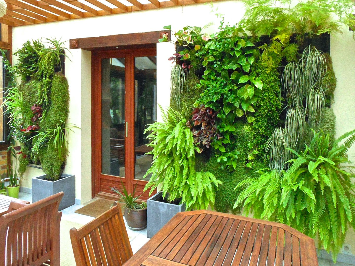 Вертикальный сад у входа в ресторан: свежесть, движение, забота о деталях.