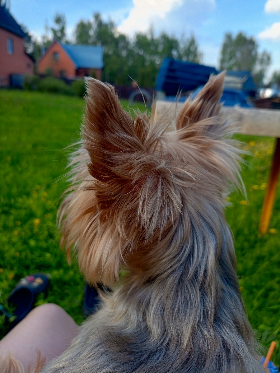 Вечер пятницы. Кайфуем.