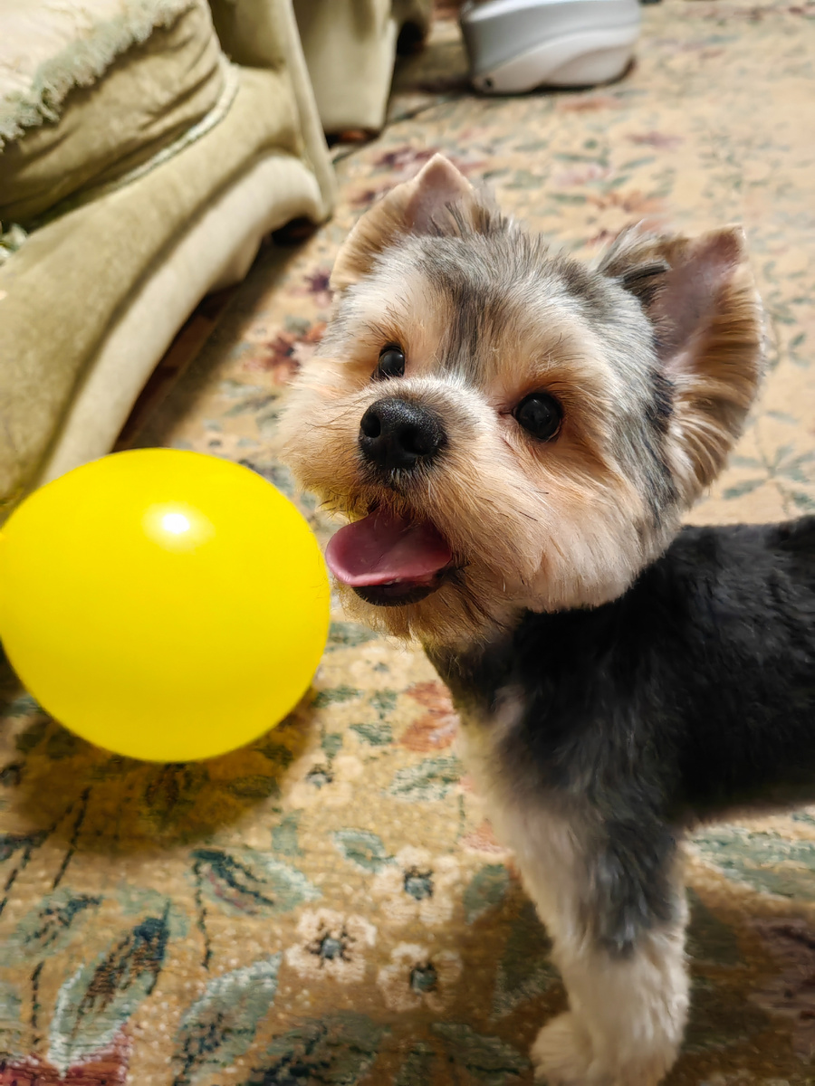 Воздушные шарики - одна из любимых Тишиных забав