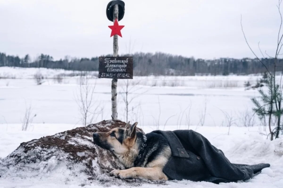    В Петербурге состоялась официальная премьера фильма «Трезорка»