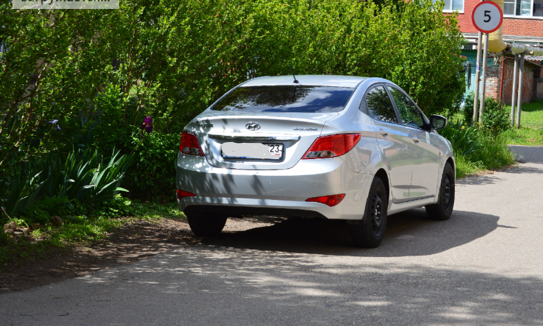 Фото автора. Май 2025. Станица. Пристроился в тенёчке.