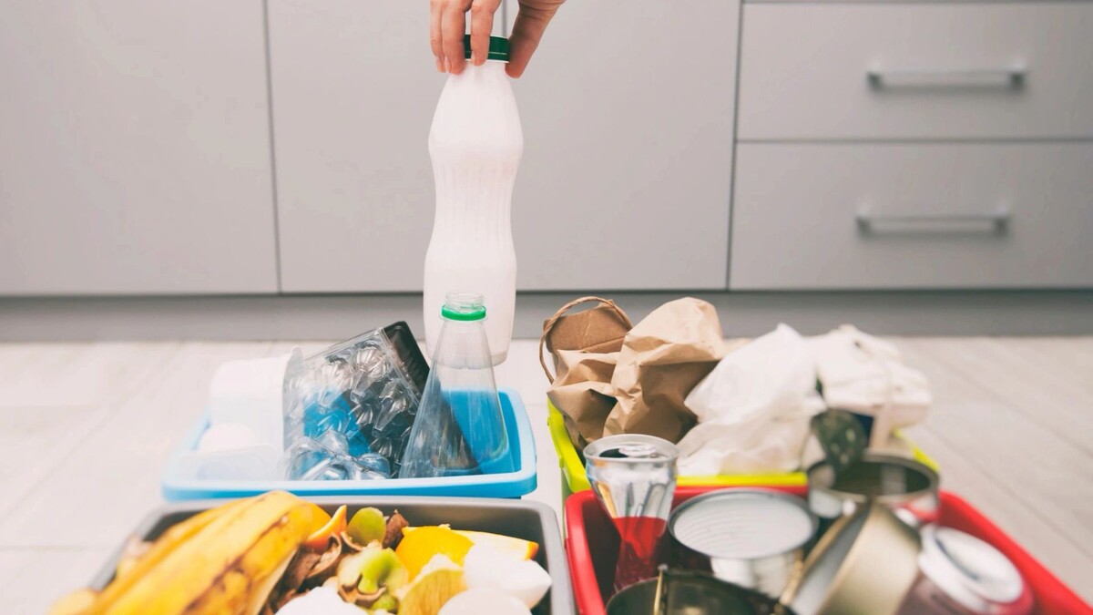    Фото: Skylines/Shutterstock/Fotodom