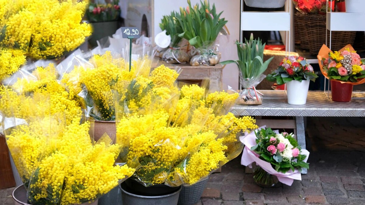    Фото: Kittyfly/Shutterstock/Fotodom