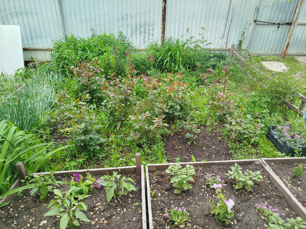 Вид от дома