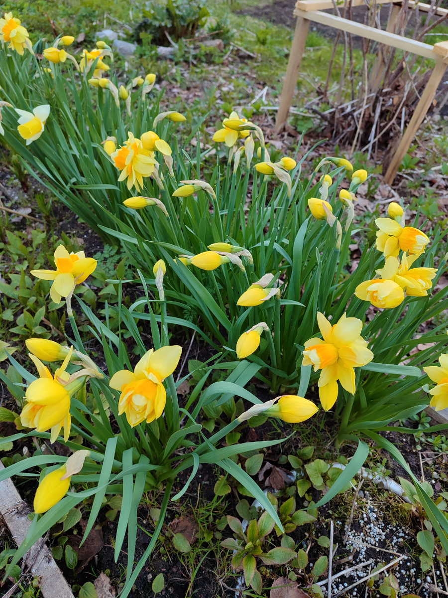 С весной приходит надежда.