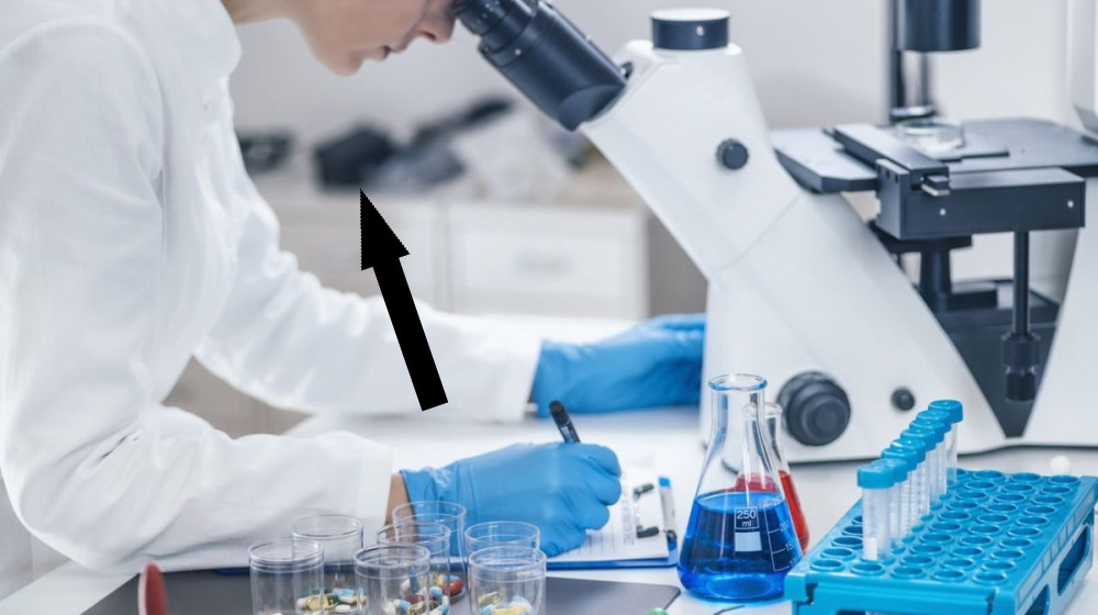    Как яд утконоса превращает боль в оружие и почему это изменит медицину