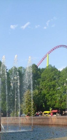 Фото автора.