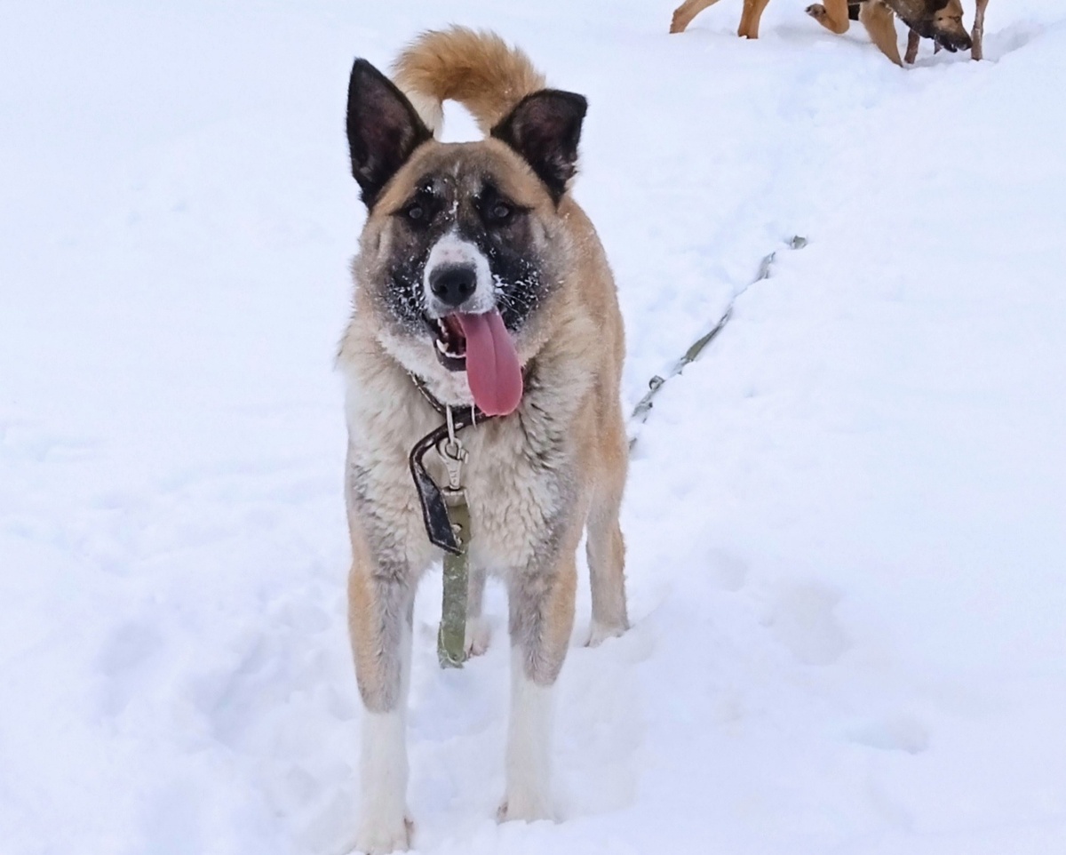 Эрна февраль 2025