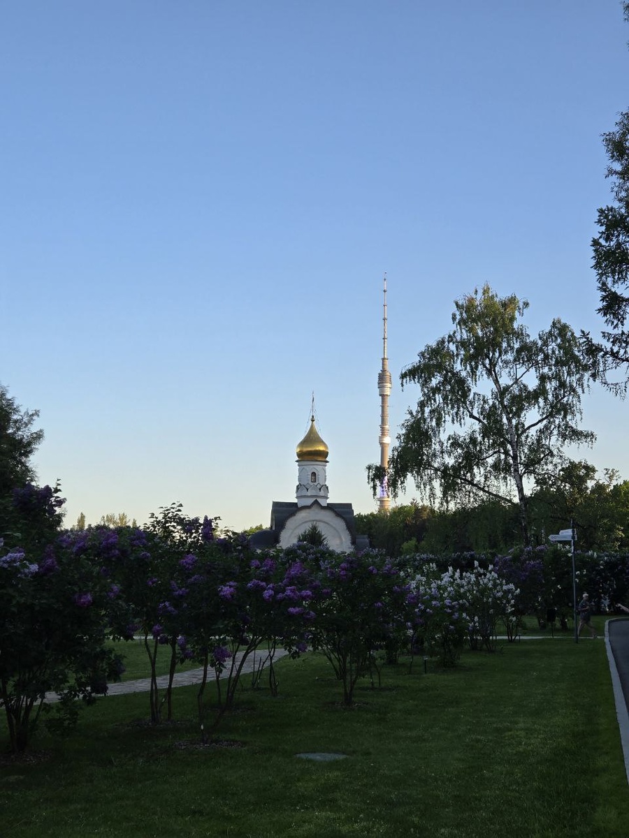 Сирингарий на ВДНХ