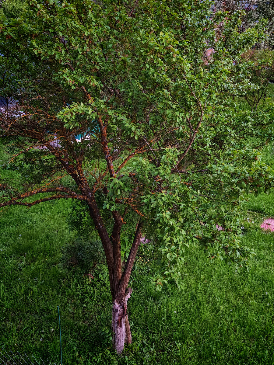 Всё хорошо, но что-то не так