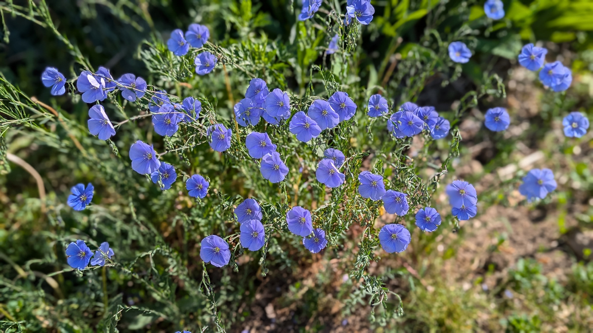 Около нашего дома