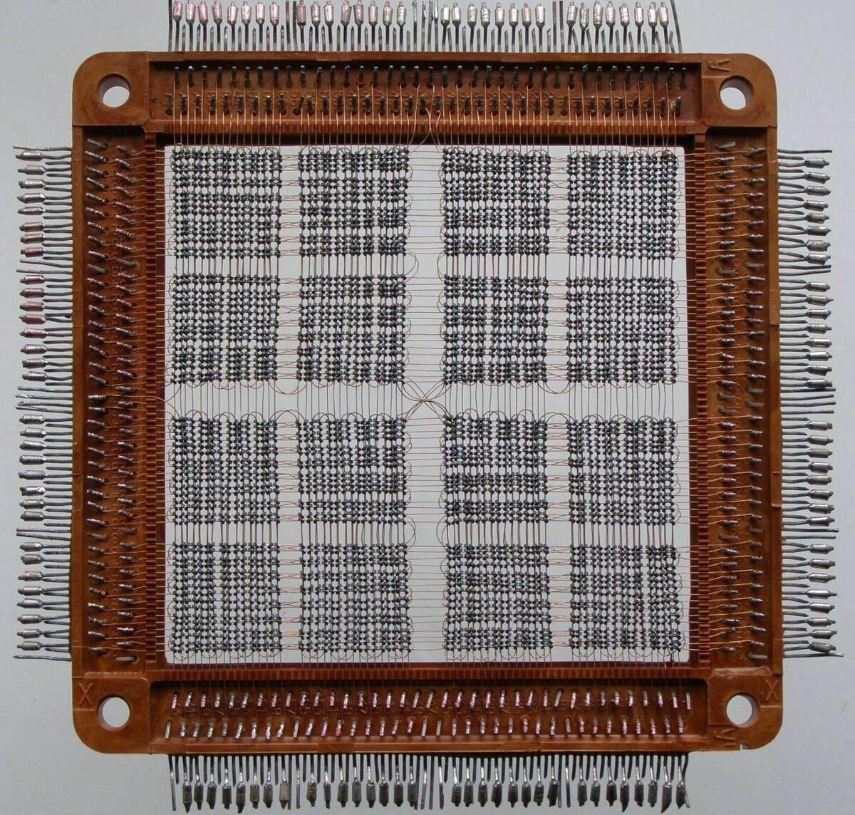 фото из интернета.