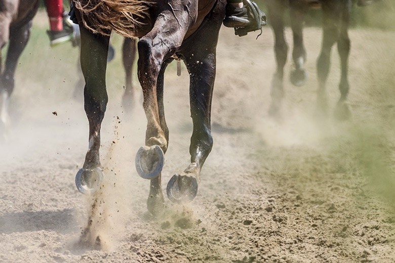    Сергей Лантюхов/NEWS.ru