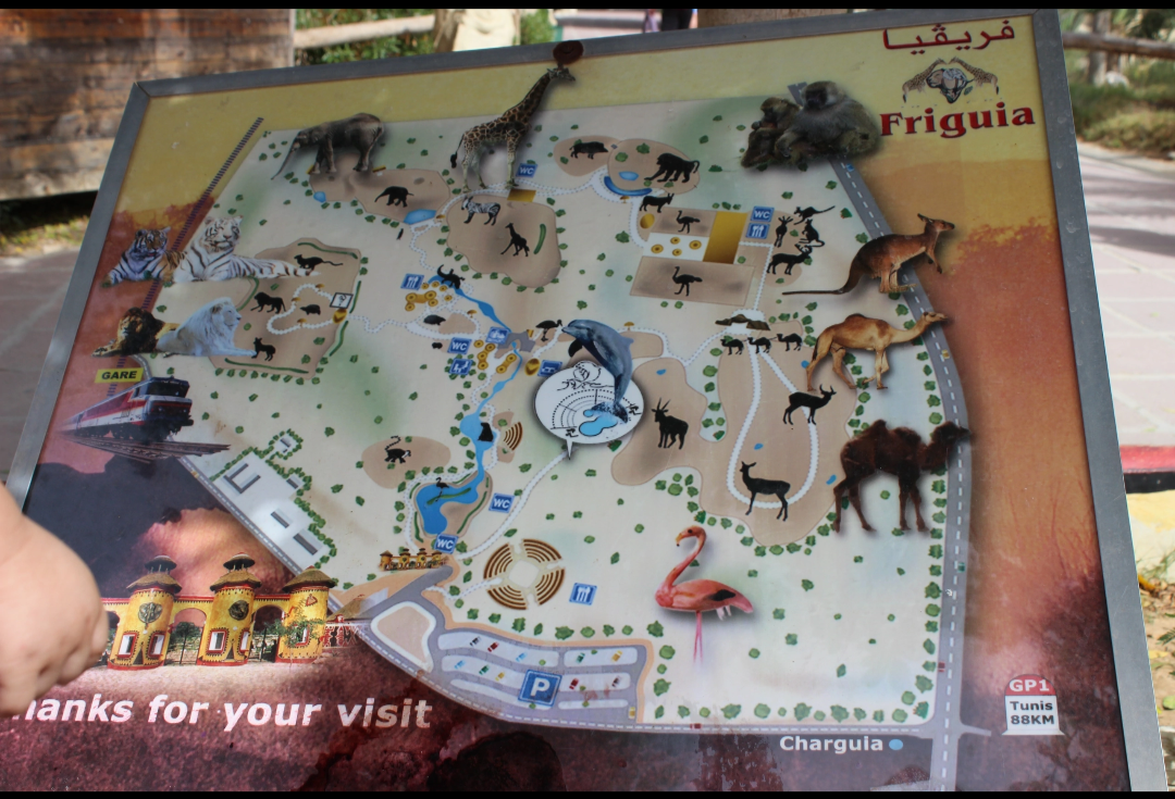 Карта зоопарка "Фригия", обойти который в рамках одной экскурсионной поездки просто не реально, поскольку его площадь составляет почти четыре десятка гектаров 