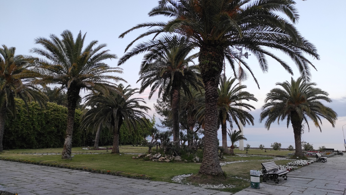 Пальмы в Пицунде манят туристов. Фото: Кирилл Полиенко/Polienko: путешествуем вдвоём