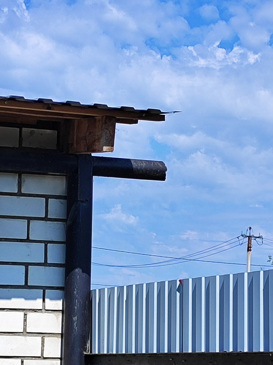 Вот в этих открытых трубах они гнездятся уже пятый год.