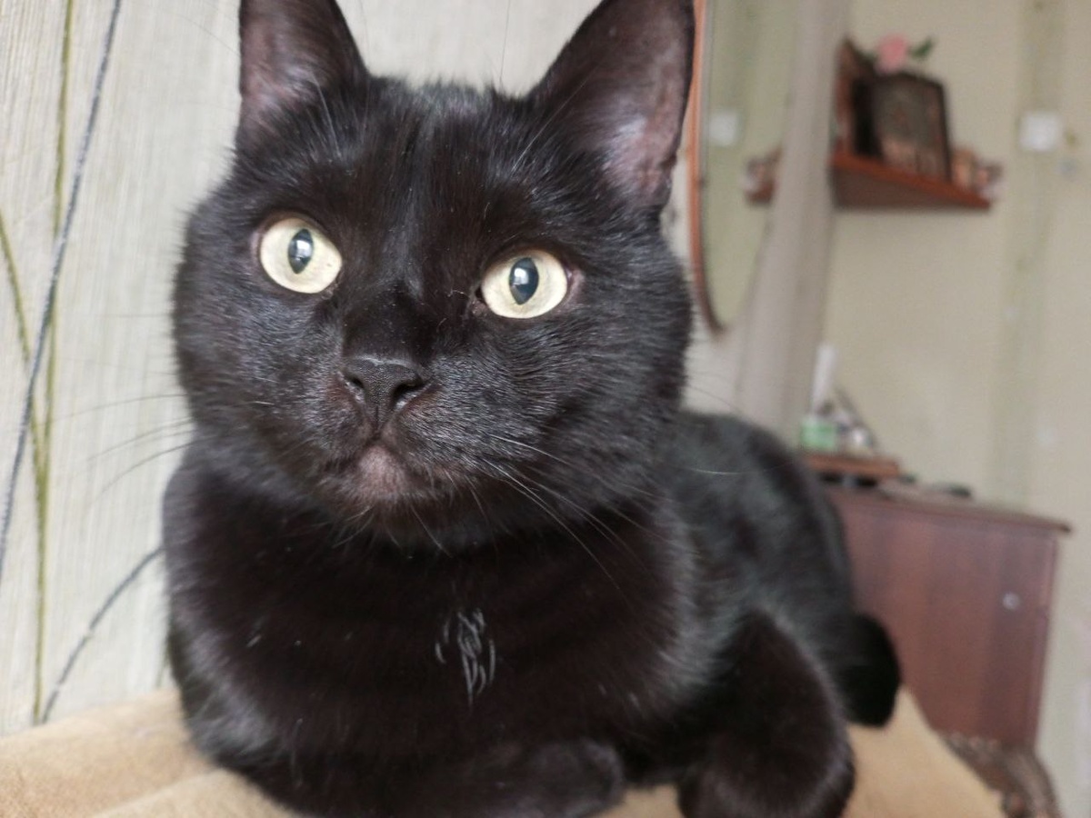  Это галстучек!