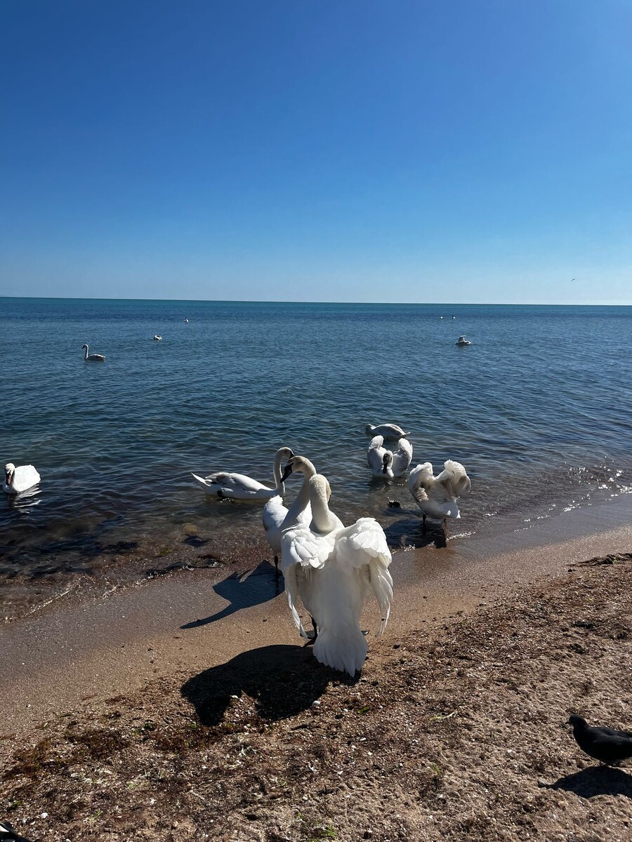 Авторское фото.
