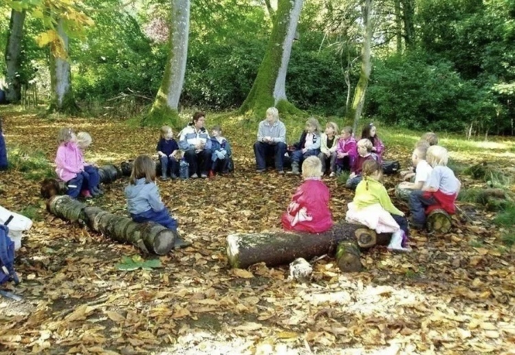Лесной детский сад 