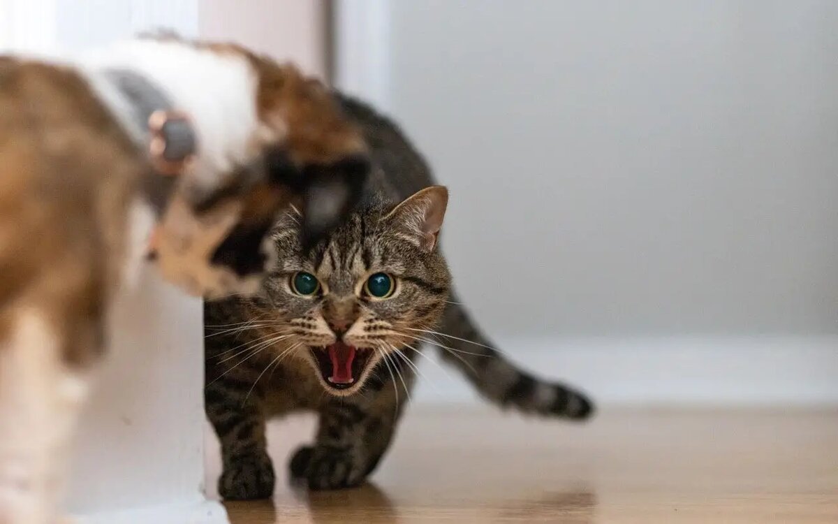    Похоже, судьба решила испытать вас на прочность /фото pexels