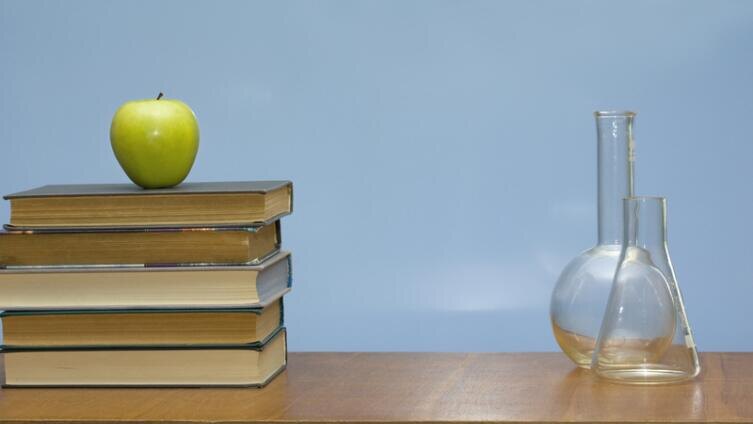     Ermek Shutterstock.com