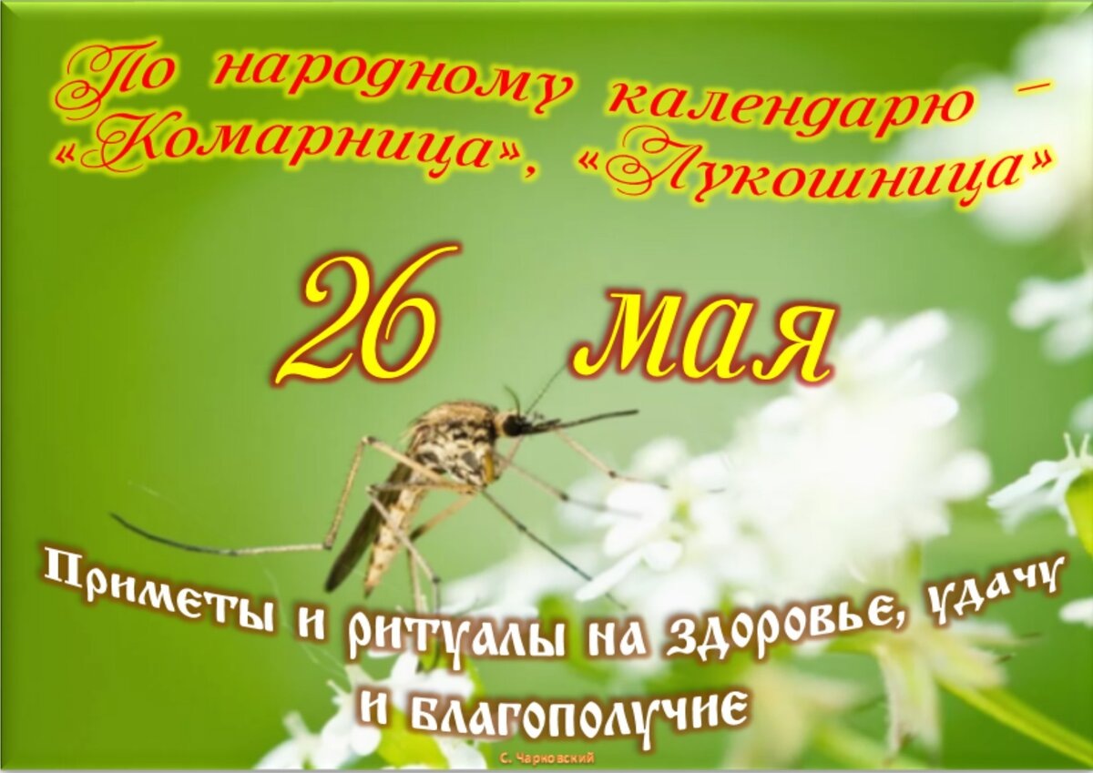 Встречаем новый день