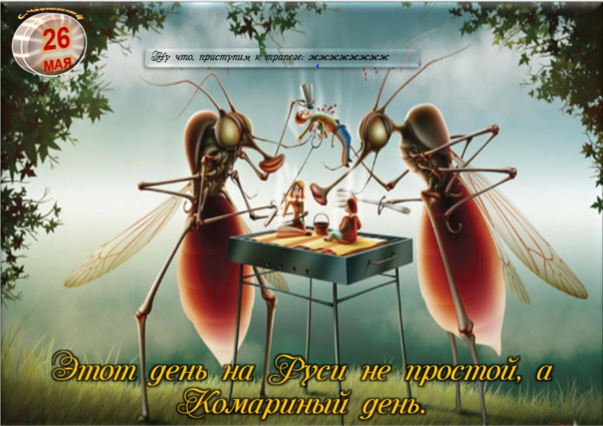 Встречаем новый день