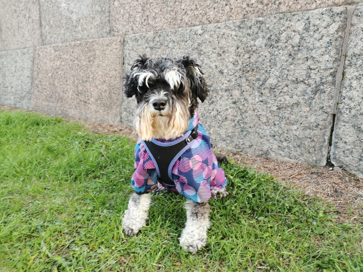 Малышенька моя